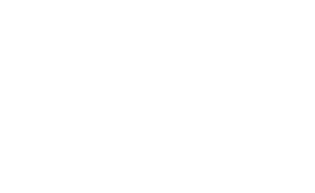 투명한 아로하
