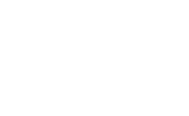 화사한 아로하